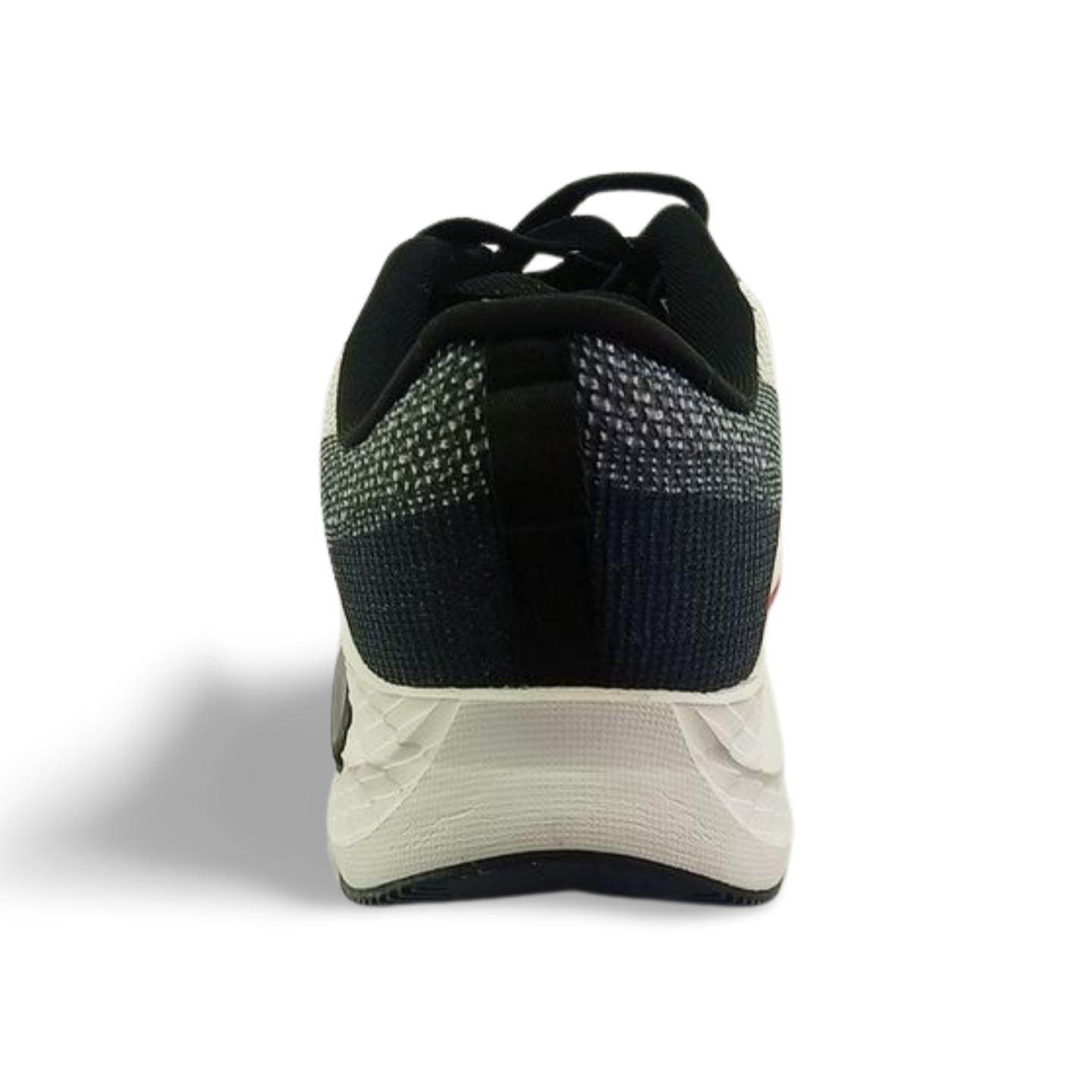 COLUMBUS SPORTS Shoes -CENTURY BOOT HOUSE-ASUS